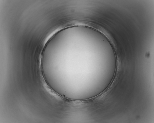 X0000115001198200911091351