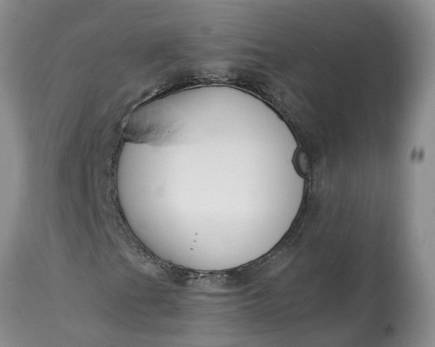 X0000115001201200911091350