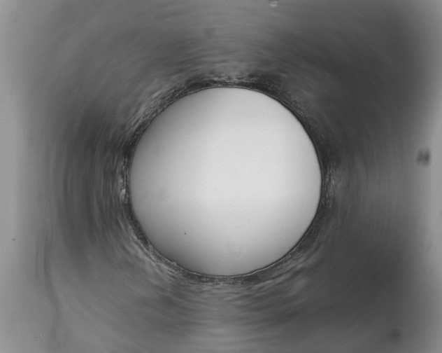 X0000115001202200911091350