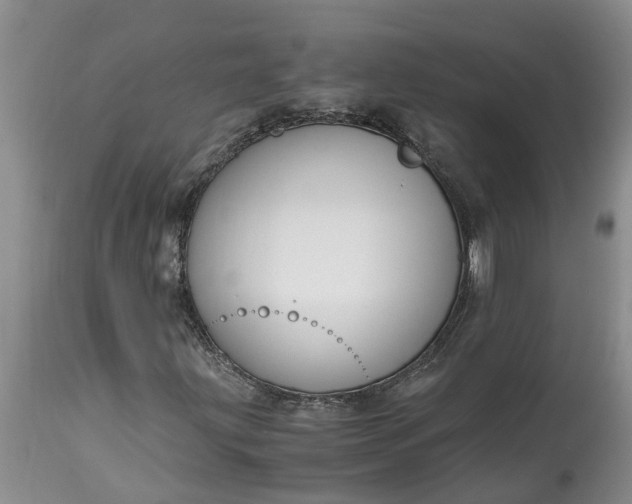 X0000115001203200911091350