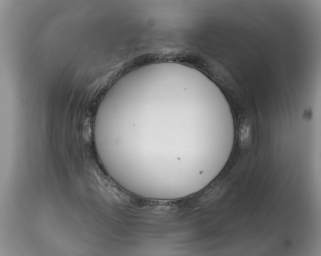 X0000115001204200911091350
