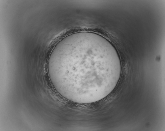 X0000115001205200911091350