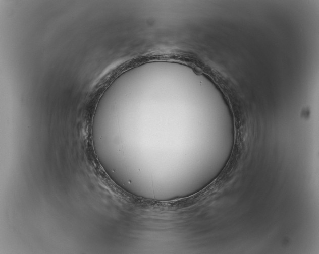 X0000115001206200911091350
