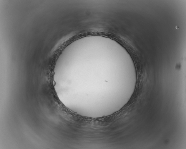 X0000115001207200911091350