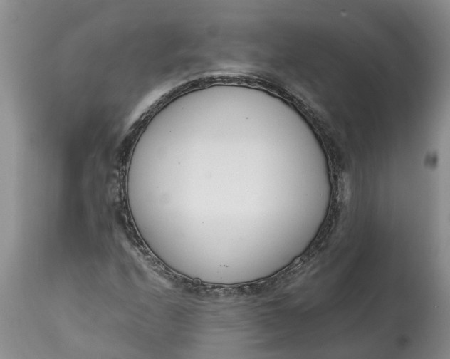 X0000115001208200911091350
