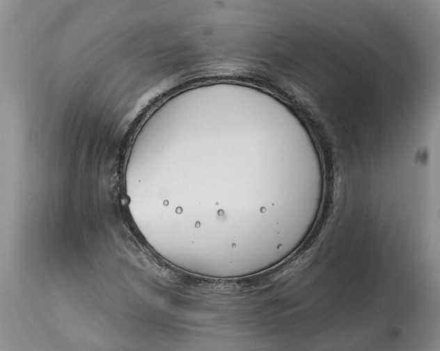 X0000115001210200911091350