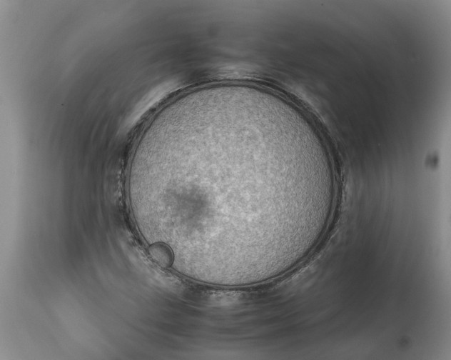 X0000115001211200911091351