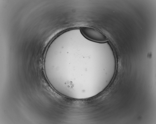 X0000115001212200911091351