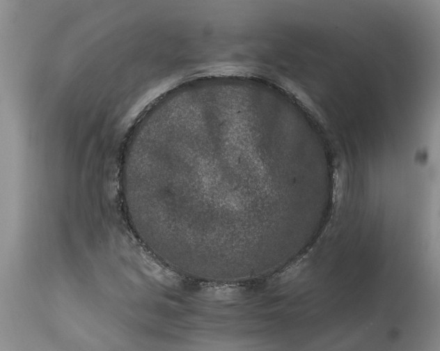 X0000115001213200911091351