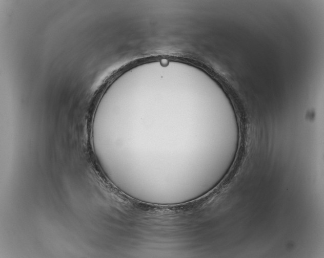 X0000115001214200911091351