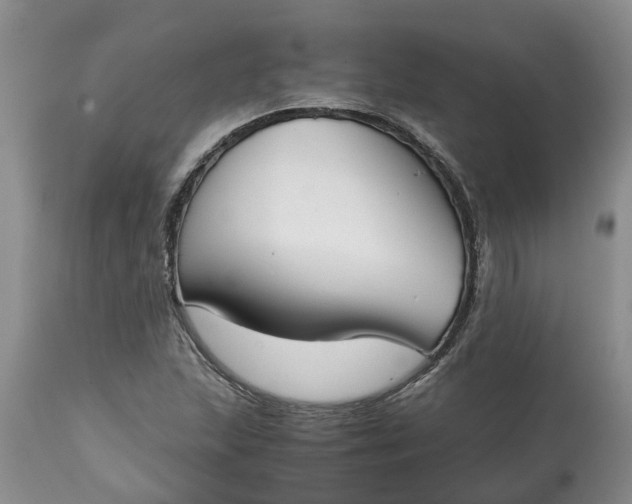 X0000115001215200911091351