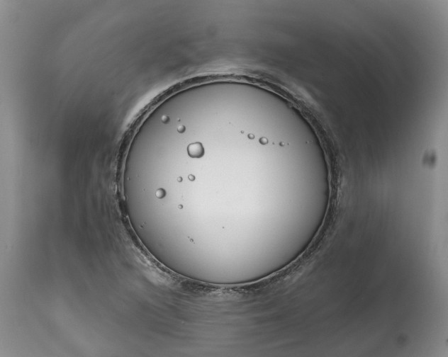 X0000115001216200911091351