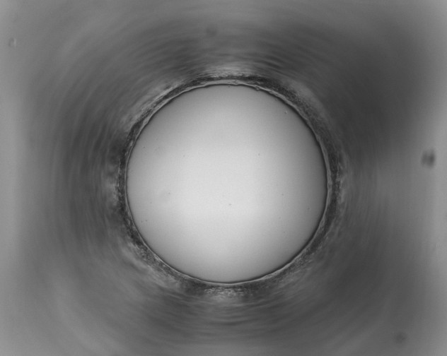 X0000115001217200911091351