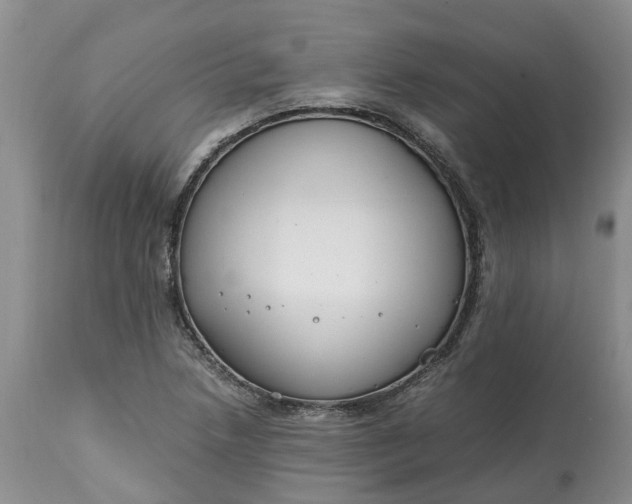 X0000115001218200911091351