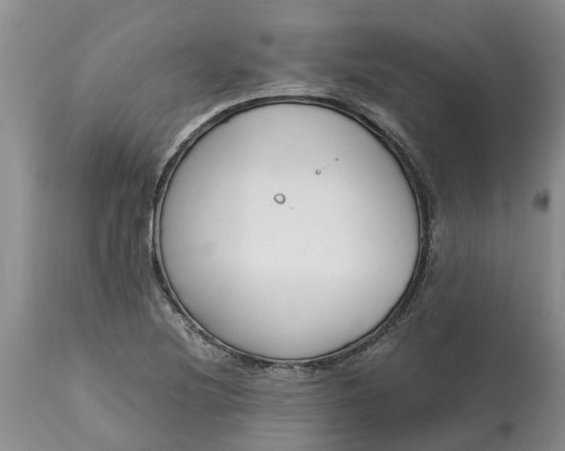 X0000115001220200911091351