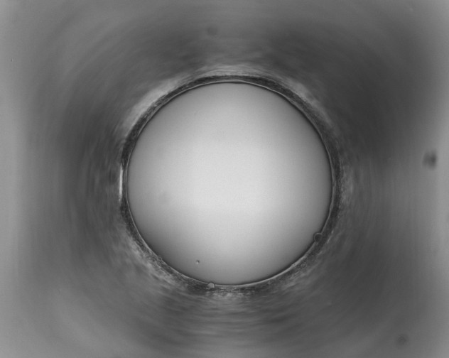 X0000115001221200911091351