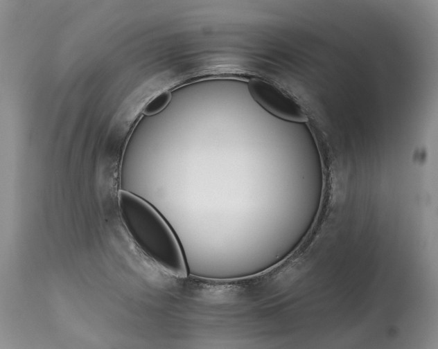 X0000115001225200911091351