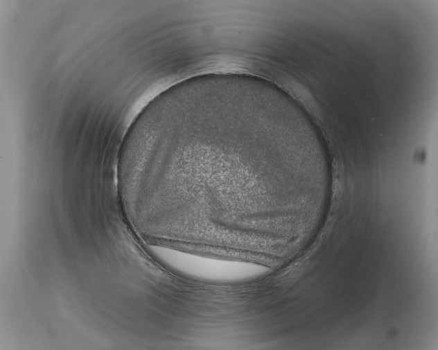 X0000115001226200911091351