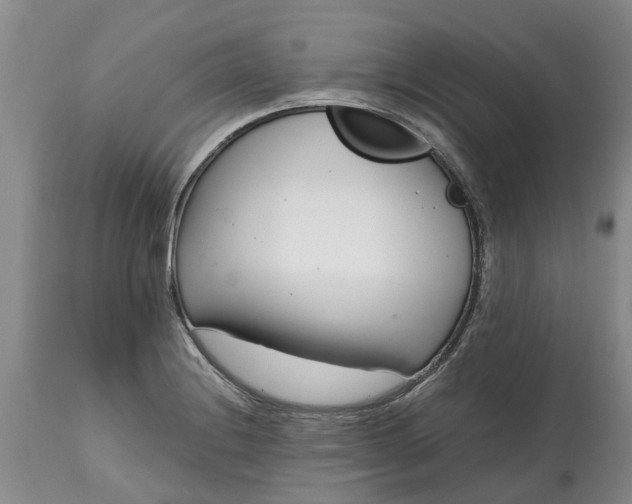X0000115001228200911091351