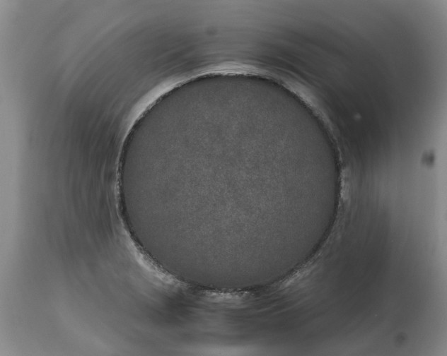 X0000115001229200911091351