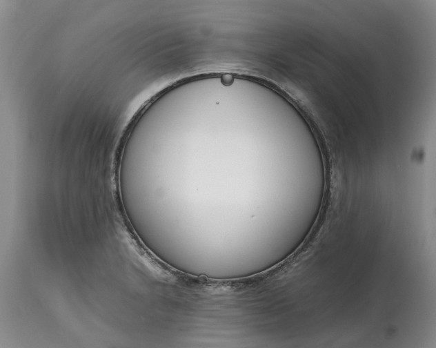 X0000115001230200911091351