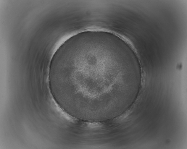 X0000115001231200911091351