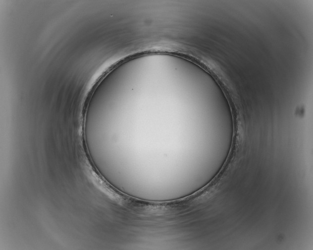 X0000115001232200911091351