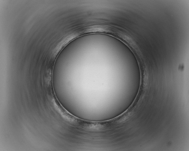 X0000115001233200911091351
