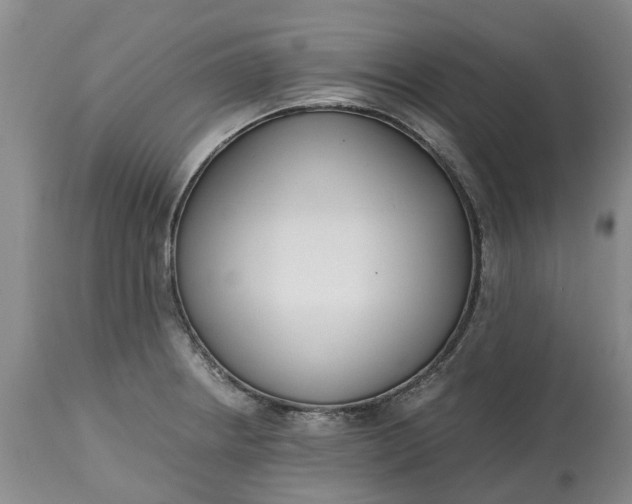 X0000115001234200911091351