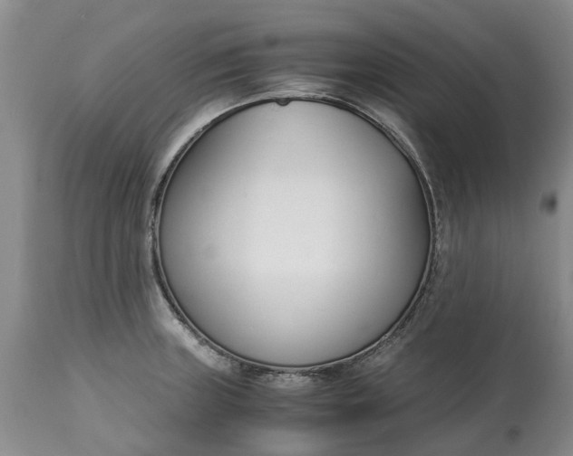 X0000115001235200911091351