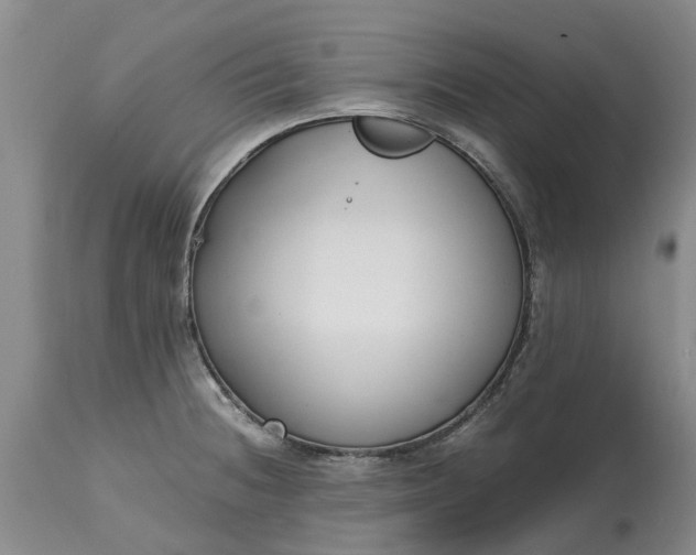 X0000115001236200911091351