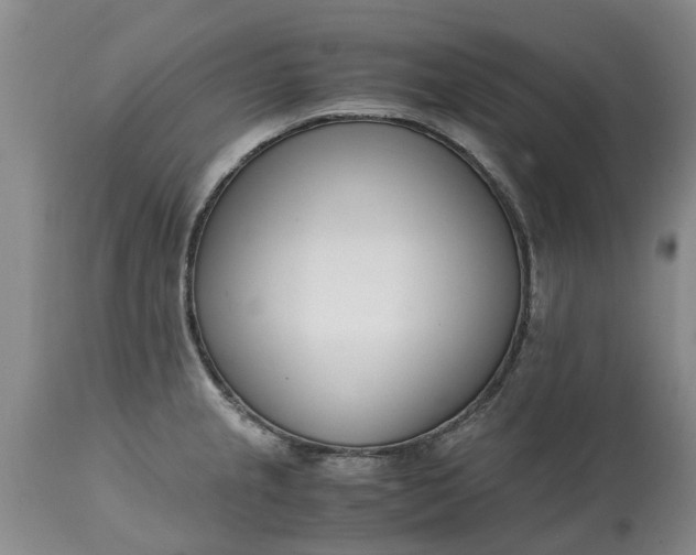 X0000115001237200911091351