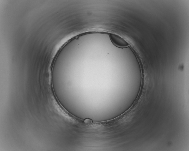 X0000115001238200911091351