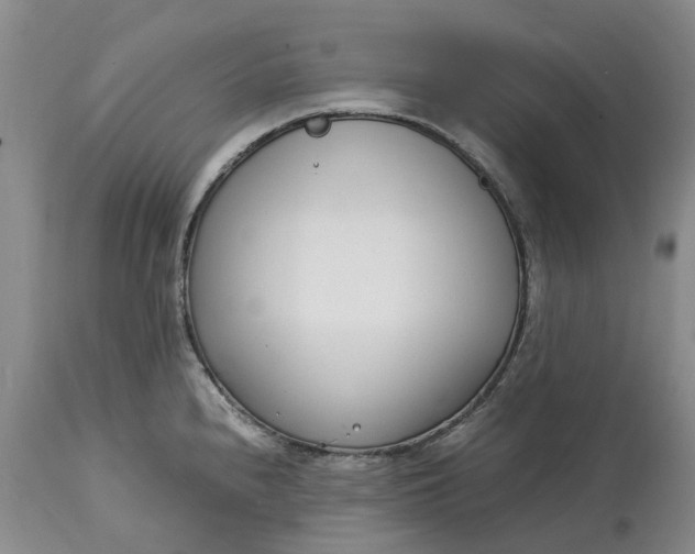 X0000115001240200911091351