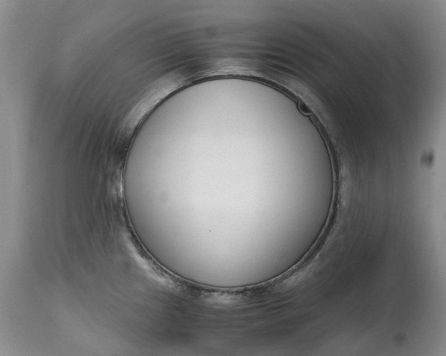 X0000115001241200911091351