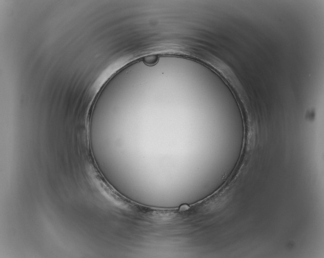 X0000115001242200911091351