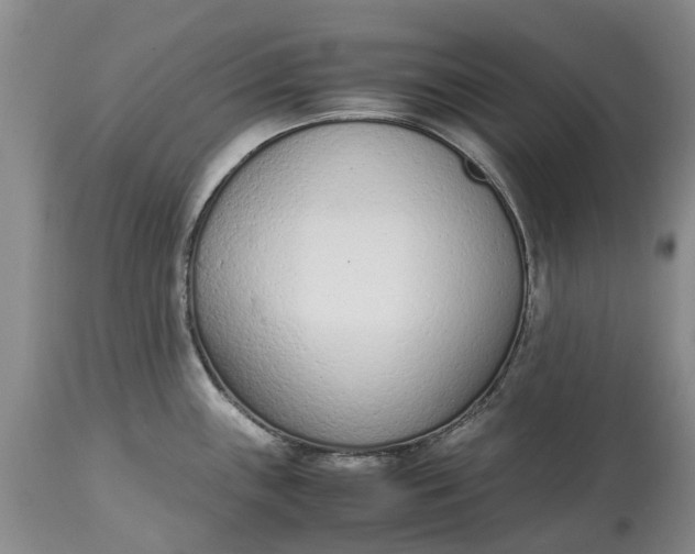 X0000115001243200911091351