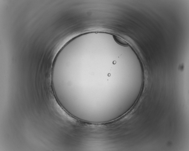 X0000115001244200911091351