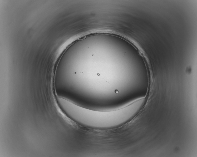 X0000115001245200911091351