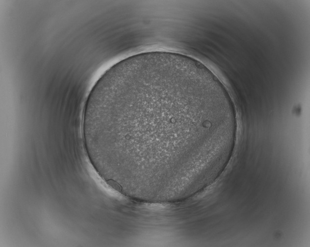 X0000115001246200911091351