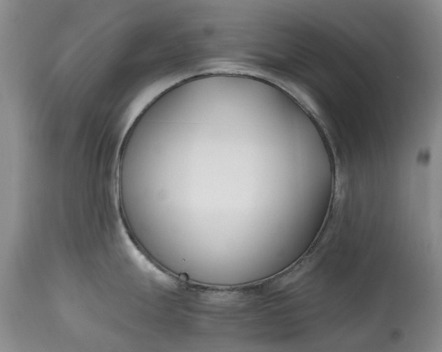 X0000115001247200911091351