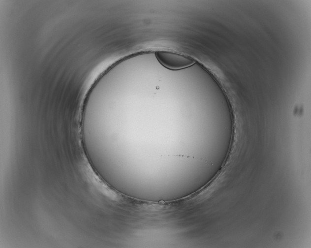 X0000115001248200911091351