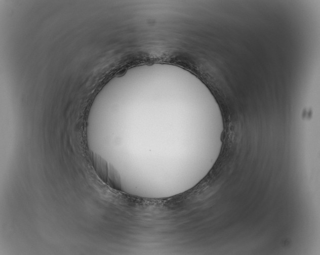 X0000115001249200911091350