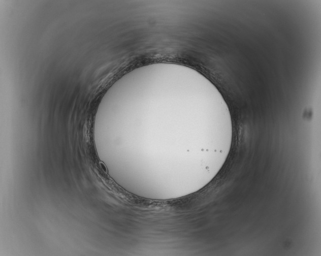 X0000115001250200911091350