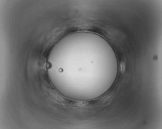 X0000115001251200911091350