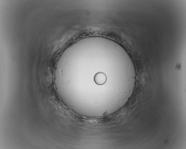 X0000115001253200911091350