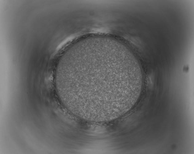 X0000115001254200911091350