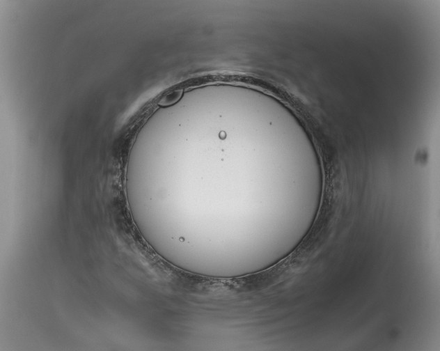 X0000115001255200911091350