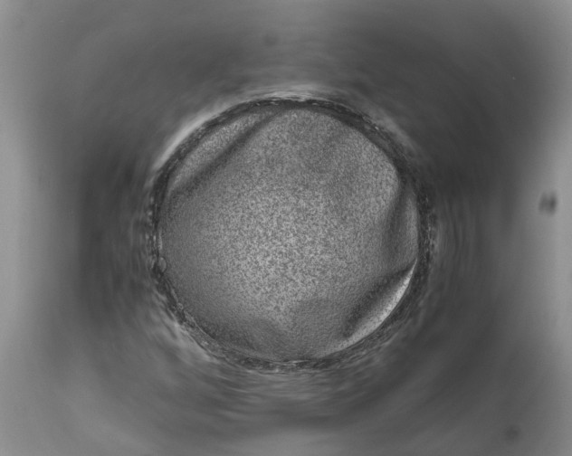 X0000115001256200911091350