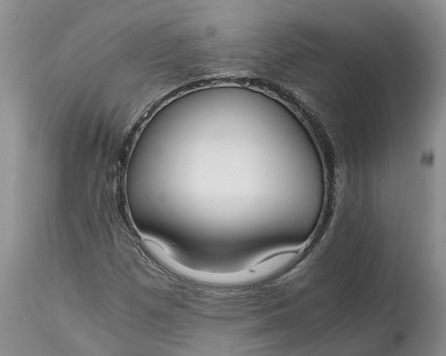 X0000115001257200911091350